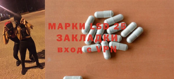индика Алзамай