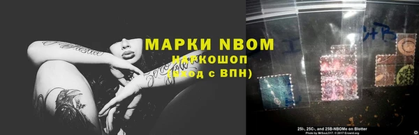 хмурый Алексин