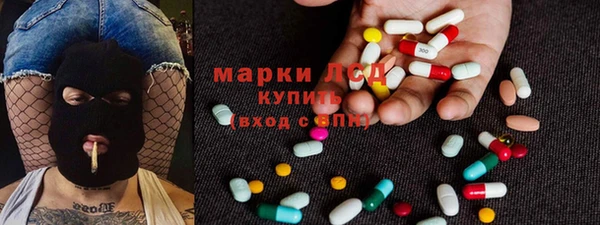 индика Алзамай