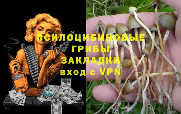 хмурый Алексин