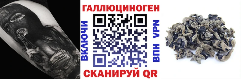 Псилоцибиновые грибы Psilocybine cubensis  блэк спрут зеркало  Кондопога 